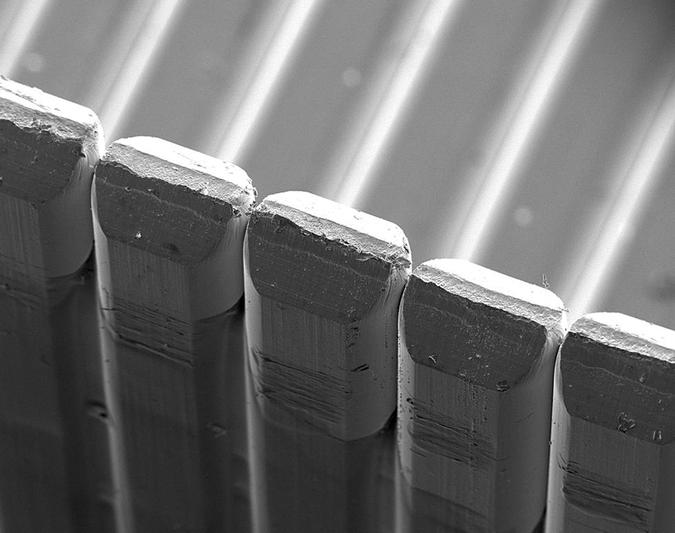 Staples